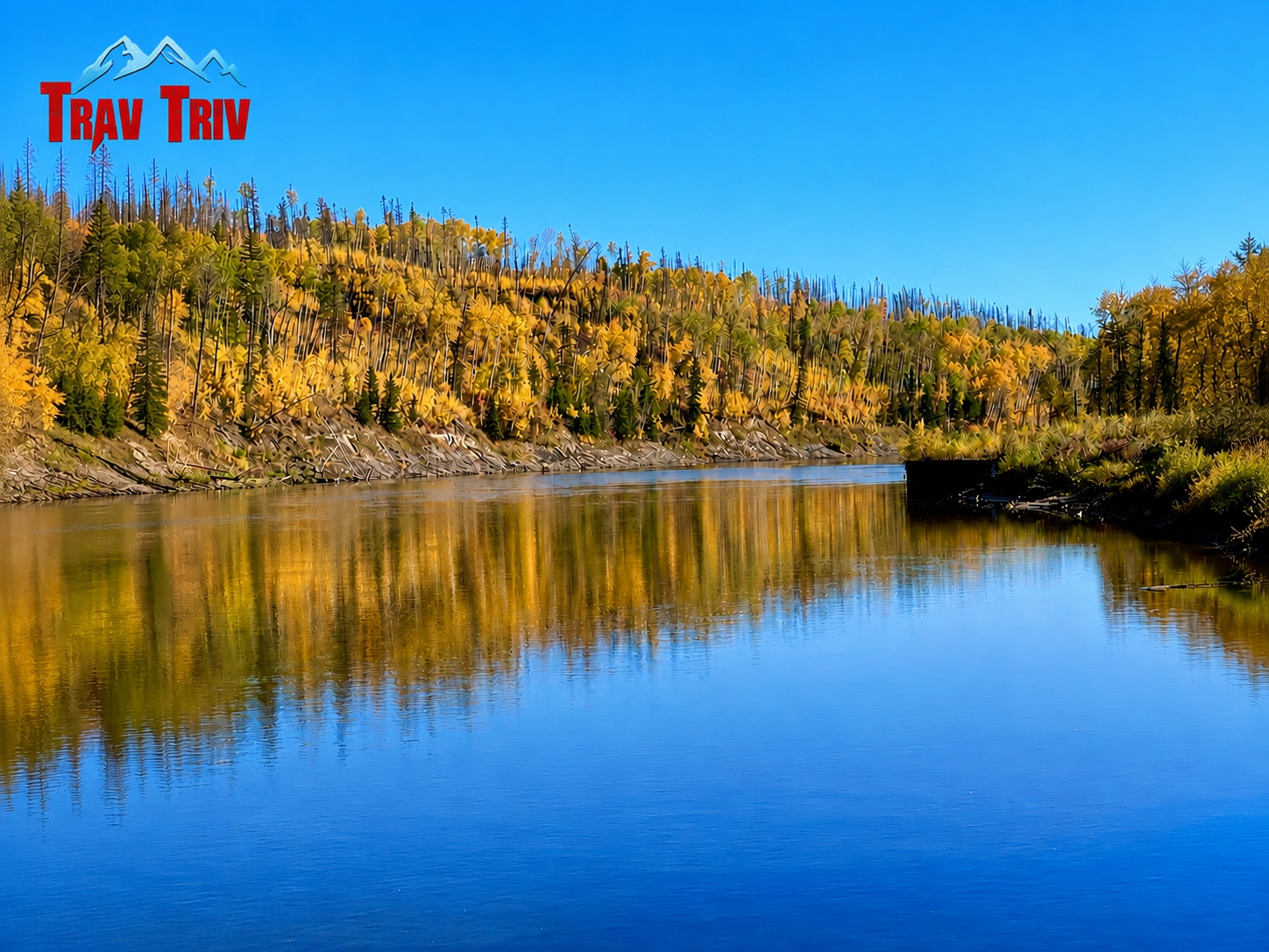 Autumn forest reflected in a calm northern river