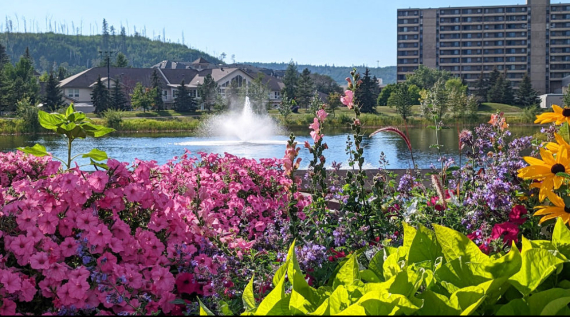 Flower garden beside a community pond representing local discovery