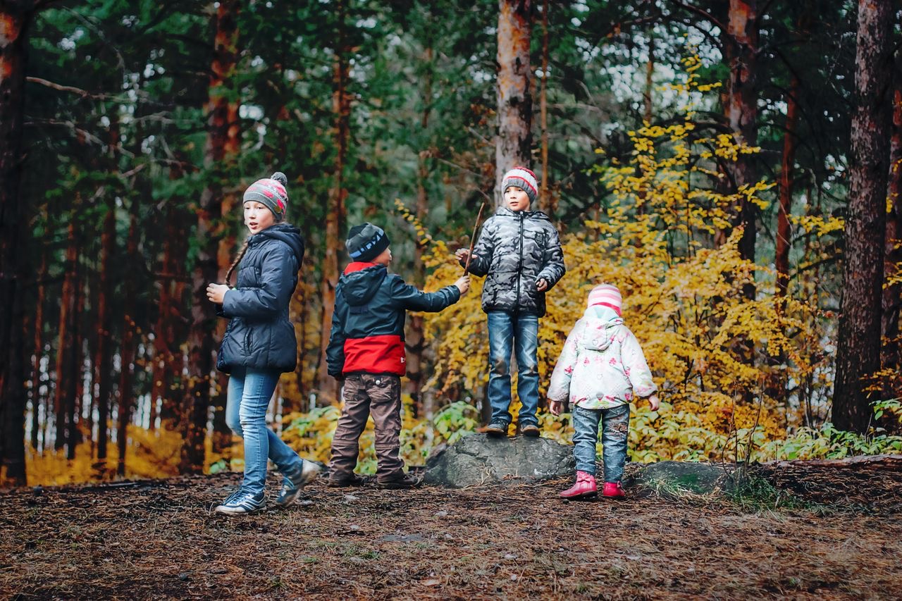 Children exploring together in a forest setting